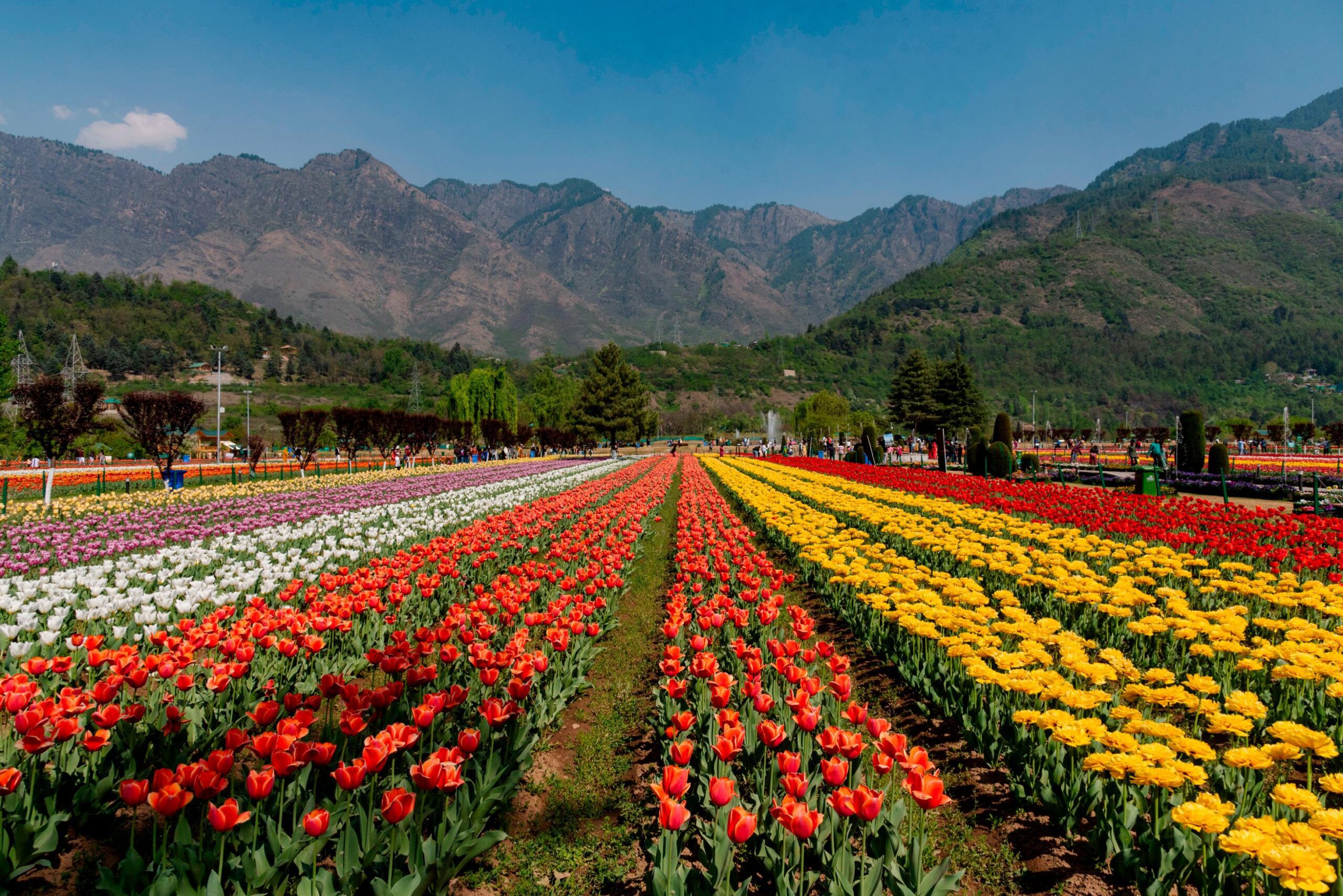Skardu