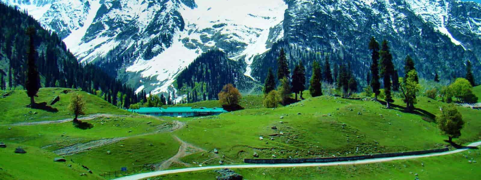 kashmir