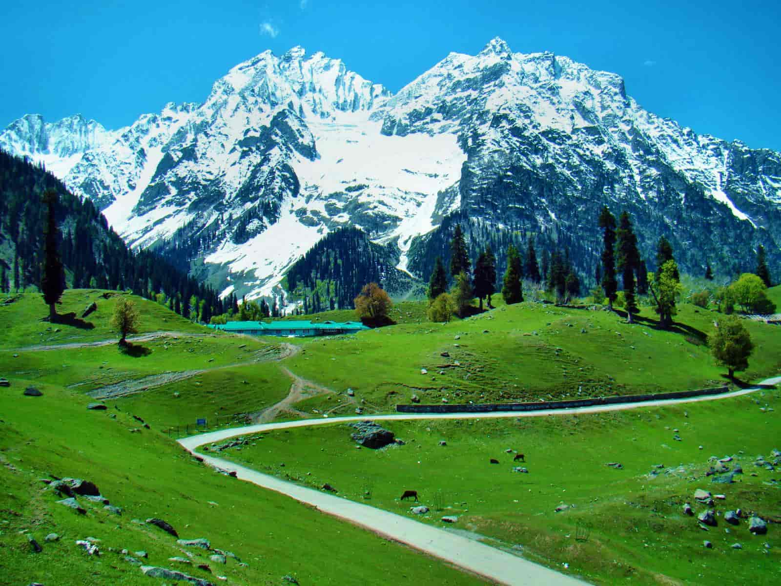 kashmir