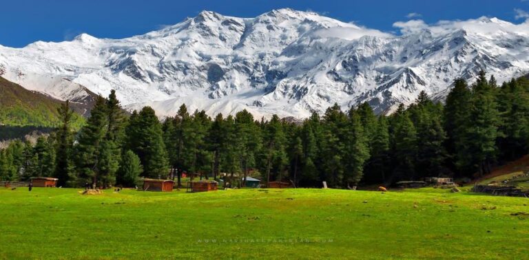 When To Visit Fairy Meadows In 2024?