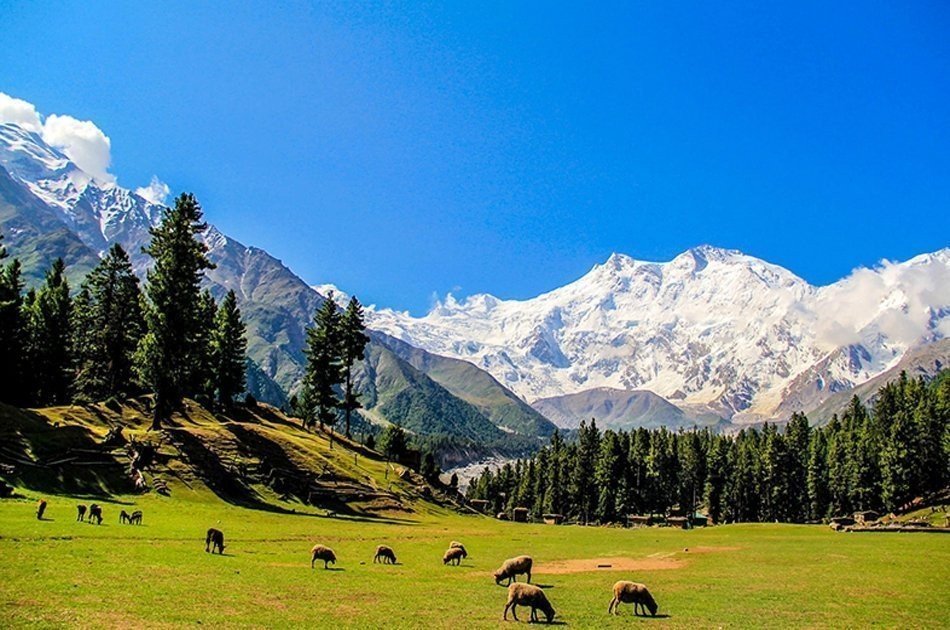 Fairy Meadows 