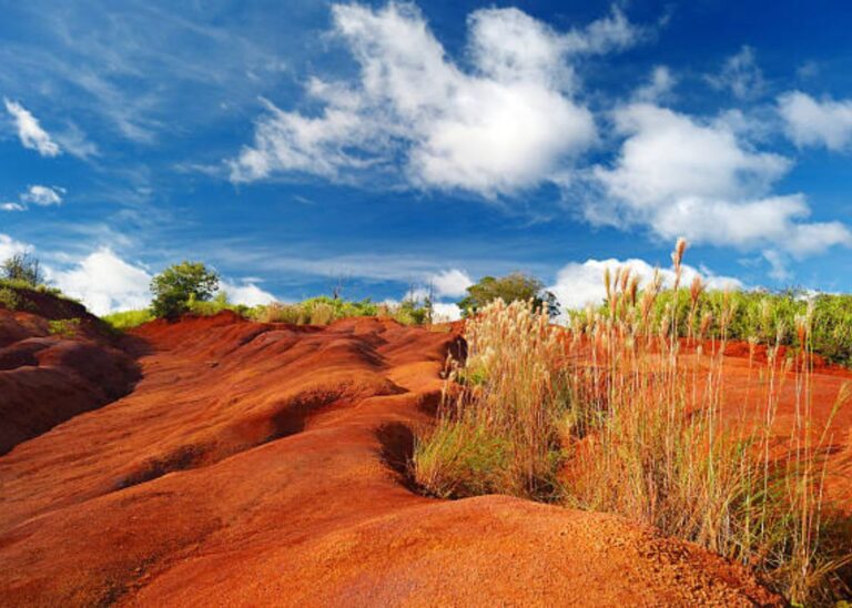 Why Red Dirt Waterfall Should Be on Your Travel List