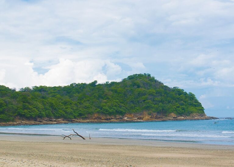 Flor Beach Adventures From Relaxation To Exploration 2025