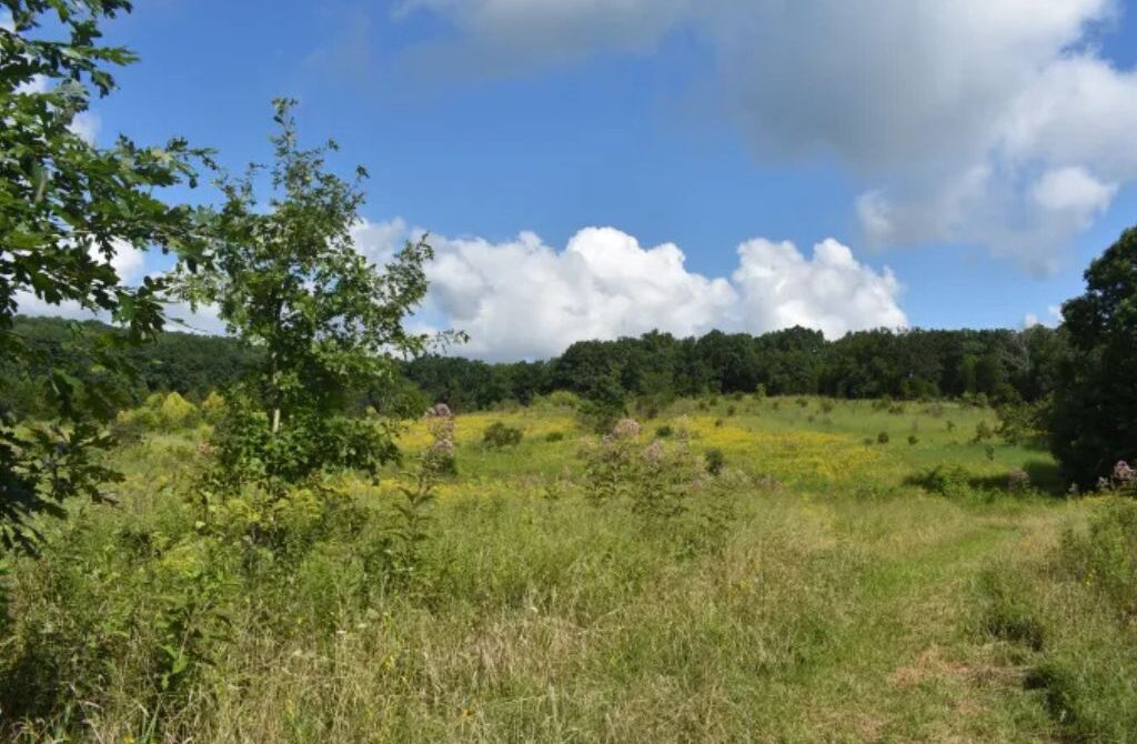 Explore Nature with Crooked Creek Indiana Hiking Trails