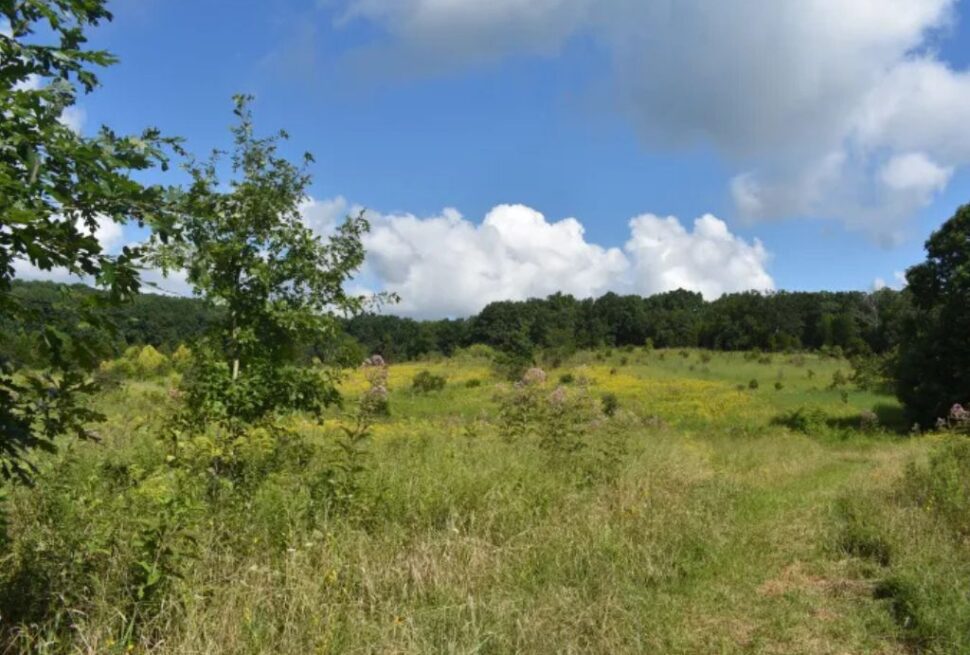 Explore Nature with Crooked Creek Indiana Hiking Trails