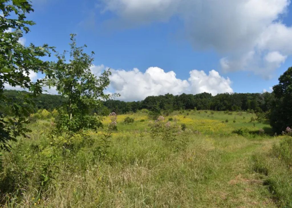 Explore Nature with Crooked Creek Indiana Hiking Trails