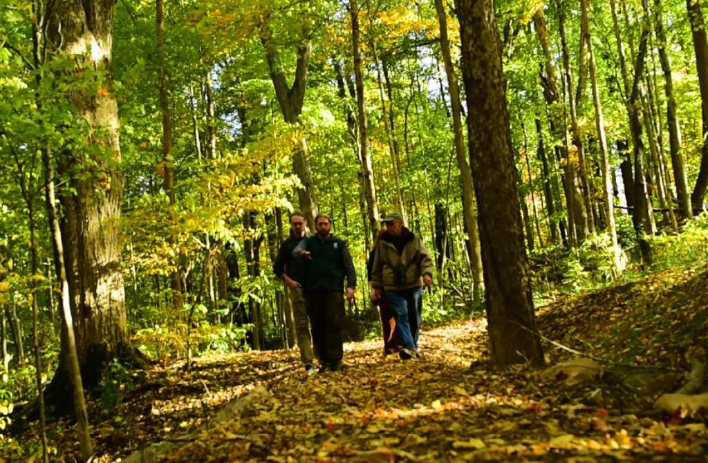 Guide To Hiking Old Mt Mitchell Toll Road