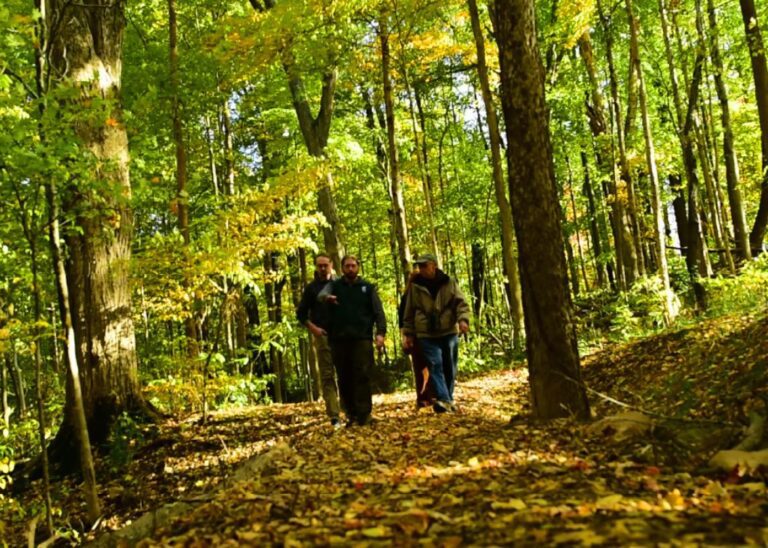 Guide To Hiking Old Mt Mitchell Toll Road