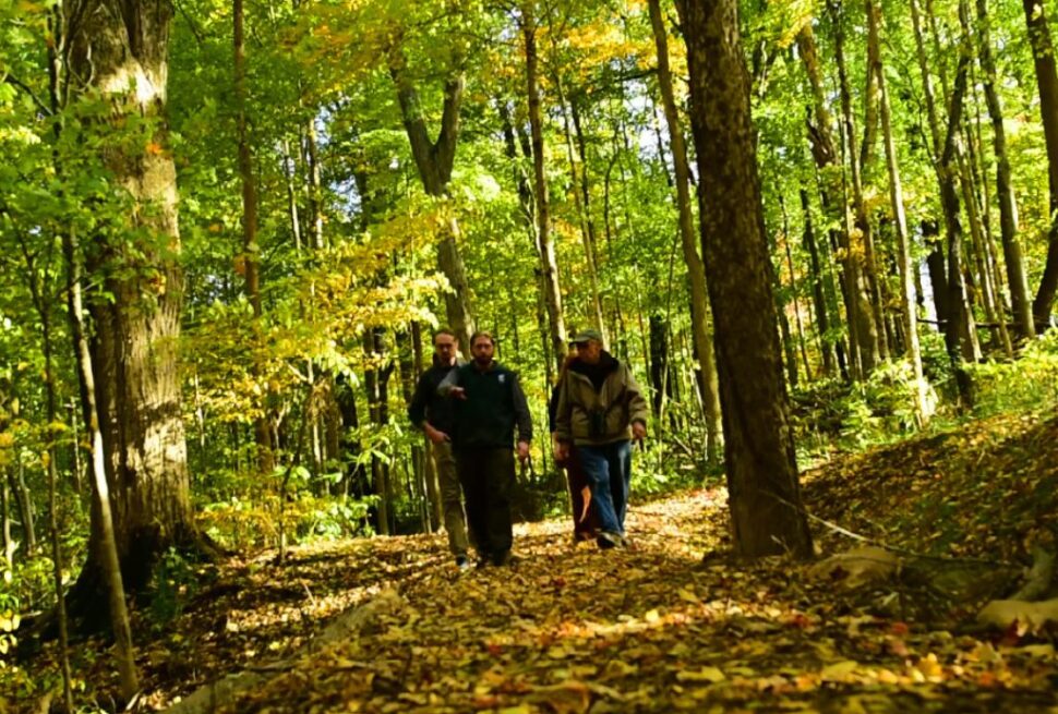 Guide To Hiking Old Mt Mitchell Toll Road