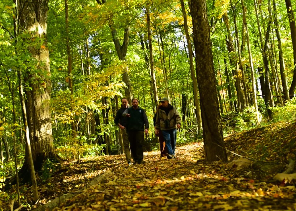 Guide To Hiking Old Mt Mitchell Toll Road
