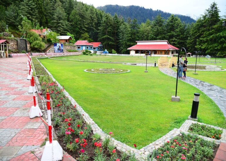 Shogran Siri Paye Tour Experience In Kaghan Valley