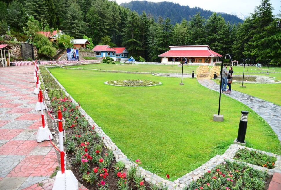Shogran Siri Paye Tour Experience In Kaghan Valley