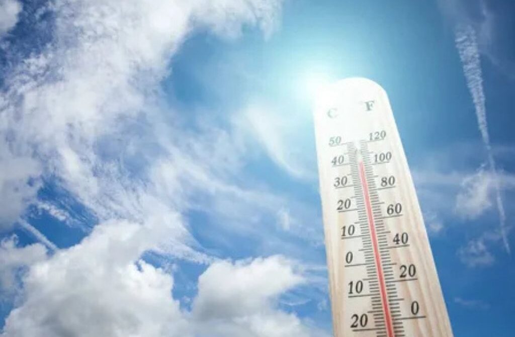 Mesick Weather in 2025: What to Expect Throughout the Year