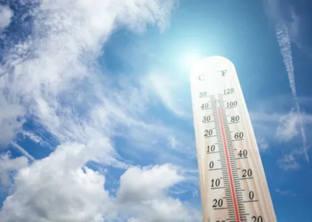 Mesick Weather in 2025: What to Expect Throughout the Year
