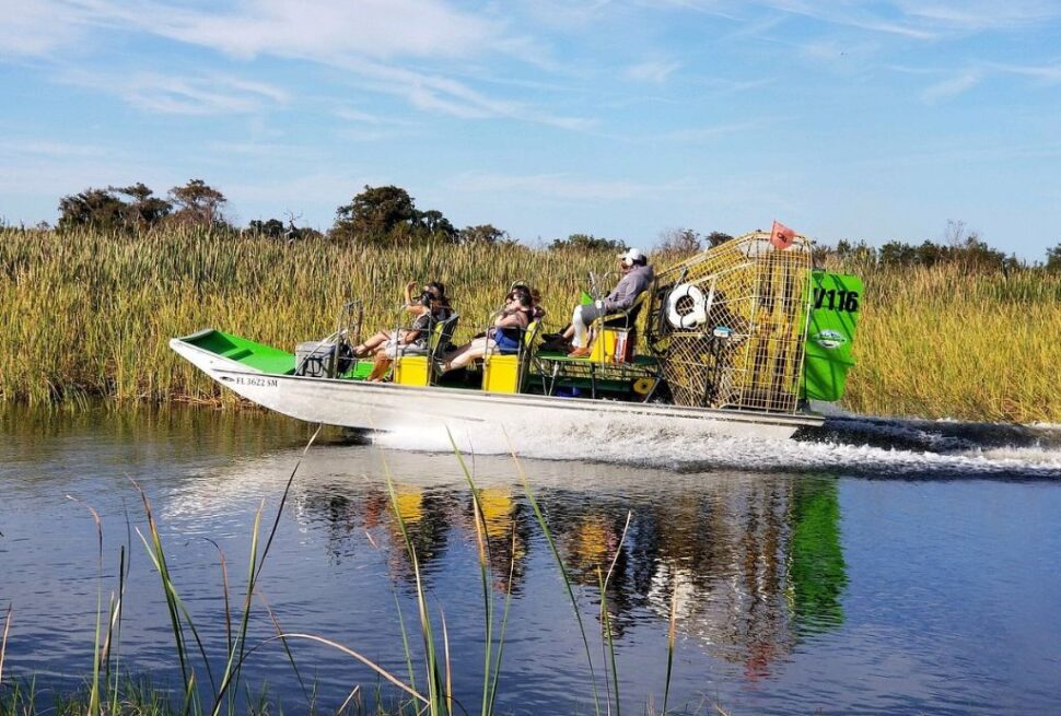 Expert Marsh Tours Guides Explore the Wetlands 2025