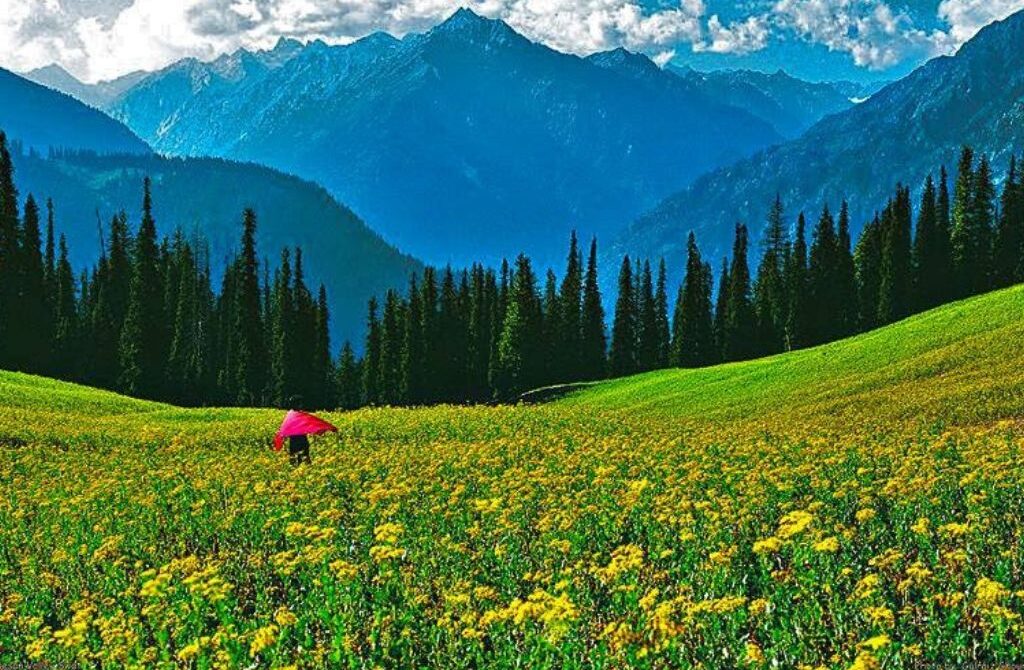 Swat Kalam Tour Guide Explore The Beauty of Pakistan in 2025