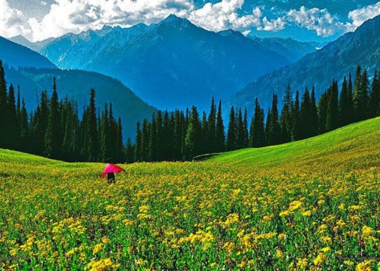 Swat Kalam Tour Guide: Explore The Beauty of Northern Pakistan in 2025